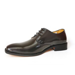 Zapato de vestir cuero oscuro